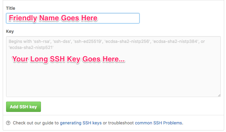 Add SSH Key to Github