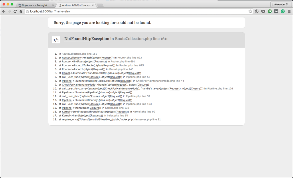 Laravel project showing Whoops, looks like something went wrong