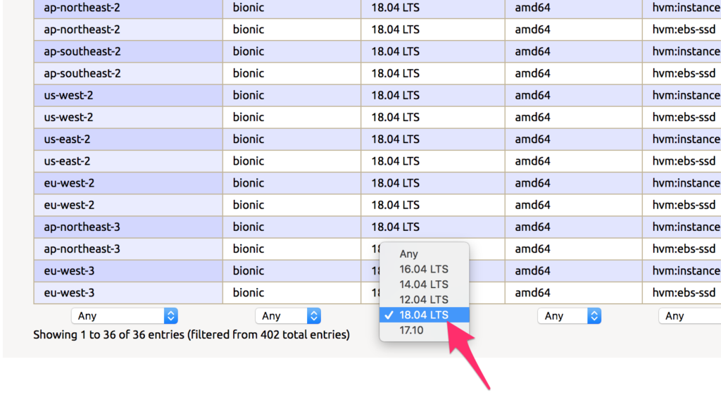 Highlight the preferred version from the EC2 instance dropdown